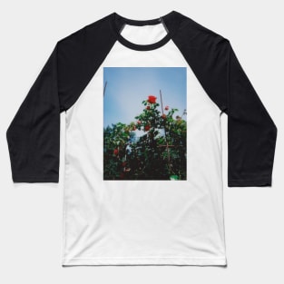 red rose instax Baseball T-Shirt